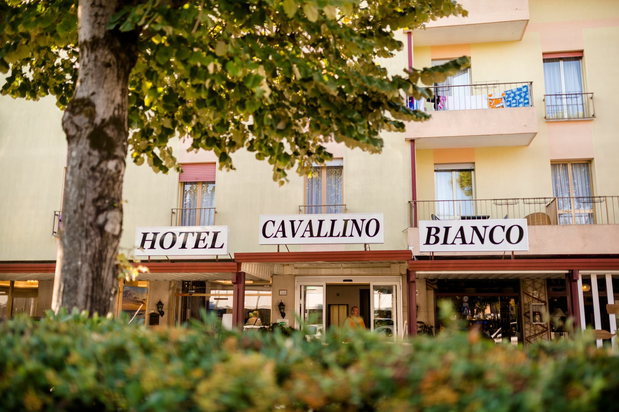 Hotel Cavallino Bianco Экстерьер фото